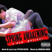 Spring Awakenings: Spring Awakening (Original Broadway Cast)