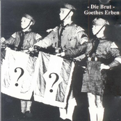 Die Brut