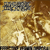 Effective Vermin Disposal