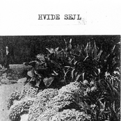 Nothing Good Ever Came From Waiting