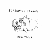 Electric Pilgrim by Screaming Females