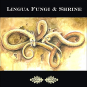 Strange Growth / Wander