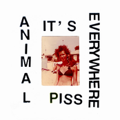 Animal Piss, It's Everywhere