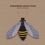 Maledetti amici miei