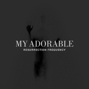 Resurrection Frequency