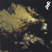 Life Death Indifference