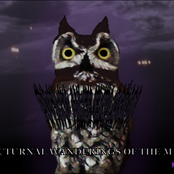 Nocturnal Wanderings of the Mind