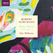 Robert Schumann: Piano Works Volume 2