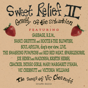 SWEET RELIEF II: GRAVITY OF THE SITUATION  The Songs Of Vic Chesnutt