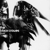 Cover for Live
