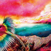 Far Fowls by Nujabes