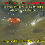 Our Place - In Sea Miner
