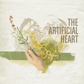 Rory and The Artificial Heart