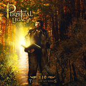 119: Theme of My Songs