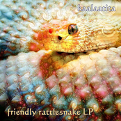 Friendly rattlesnake LP