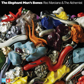 Roc Marciano: The Elephant Man's Bones