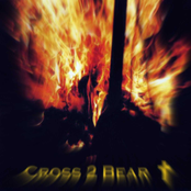 cross2bear