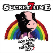 How Many Lines Does She Hide?