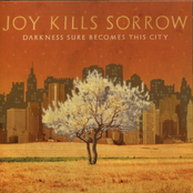 Books by Joy Kills Sorrow