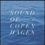 Sound Of Copenhagen Vol. 12