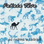 Mi szólunk a rádióból