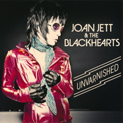 Unvarnished cover