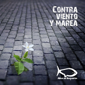 Contra Viento y Marea