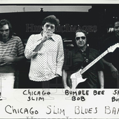 the chicago slim blues band