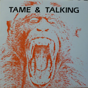 Tame & Talking