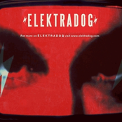 elektradog