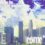 Wings For The Wounded