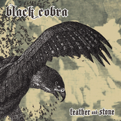 Black Cobra: Feather And Stone