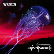 Geometric Poetry Remixes