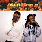 Wallflower
