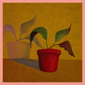 Not As Bad As It Sounds