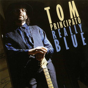 Really Blue by Tom Principato