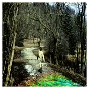 Volume 2: Plus mature, plus assumé - EP