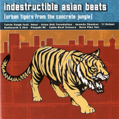 Indestructible Asian Beats