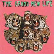 Bara Mbaye by The Brand New Life
