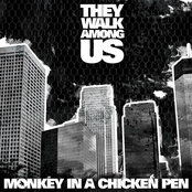Monkey In A Chicken Pen