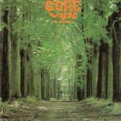 Wrede/The cruel Peace