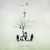 Pale Echo