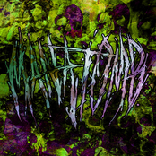 A Spirit You Cannot Comprehend (feat. A Black Rose Burial & Her Demise My Rise) - Single