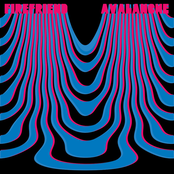 Love Seems Distorted / Avalanche