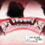MY EYES OPEN VVIDE - EP