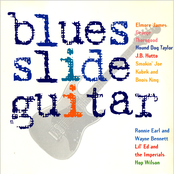 Blues Slide Guitar