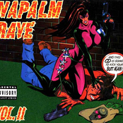 Napalm Rave Vol. II