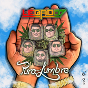 Legado 7: Pura Lumbre