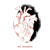 Suspensão Voluntária da Descrença