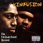 kinfusion